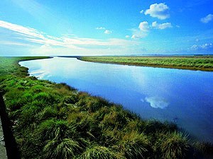 Paraje Natural de las Marismas del Odiel, Huelva.